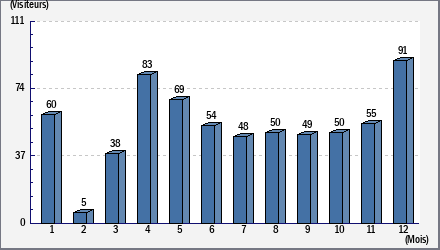 Total des visites