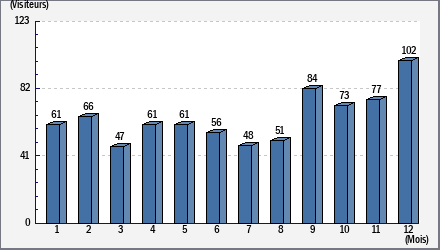 Total des visites